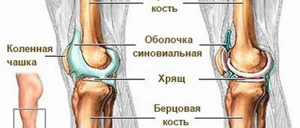 Жидкость в коленном суставе: диагностика, симптомы и лечение